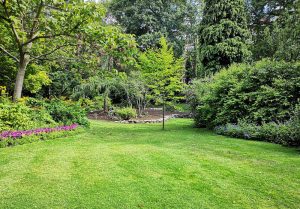 Optimiser l'expérience du jardin à Montgreleix